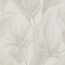 Marburg Bloom 36362